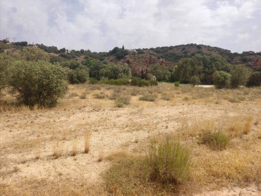 Güneşli bir günde doğada tarım