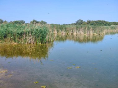 Güneşli bir günde İspanya 'nın güneyindeki doğada göl