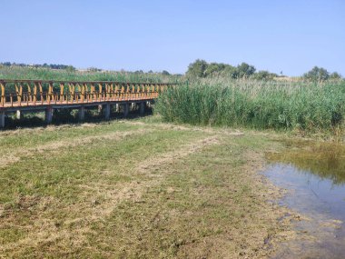 Güneşli bir günde İspanya 'nın güneyindeki doğada göl