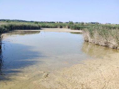 Güneşli bir günde İspanya 'nın güneyindeki doğada göl