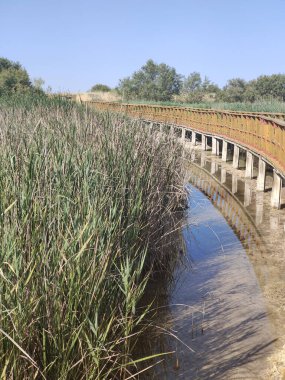 Güneşli bir günde İspanya 'nın güneyindeki doğada göl