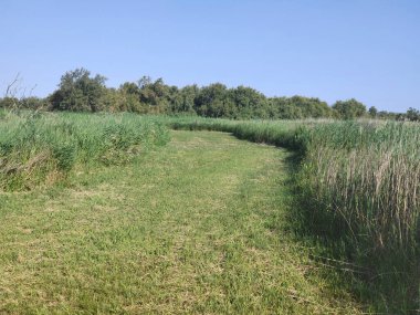 Güneşli bir günde doğada tarım