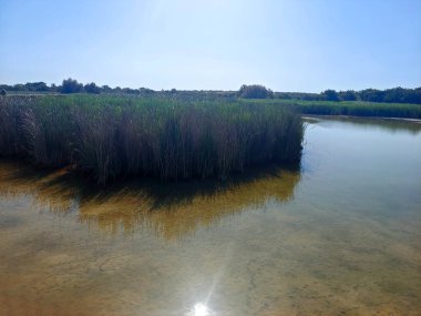 Güneşli bir günde İspanya 'nın güneyindeki doğada göl