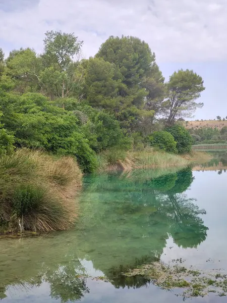 Güneşli bir günde İspanya 'nın güneyindeki doğada göl