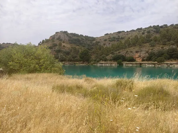 Güneşli bir günde doğada tarım