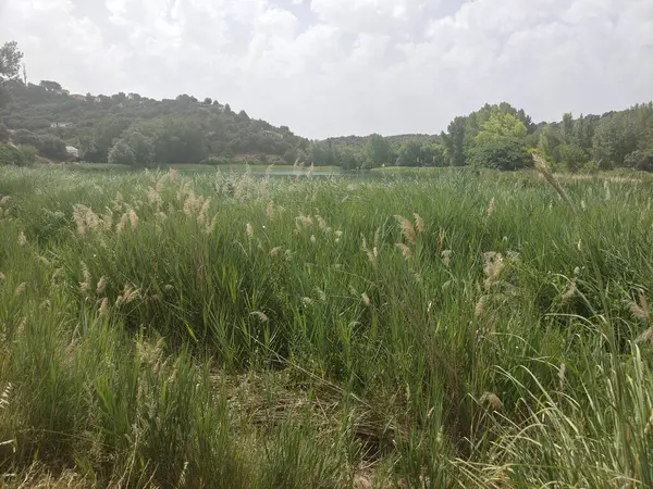 Güneşli bir günde doğada tarım