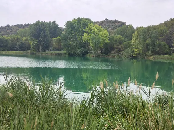 Güneşli bir günde İspanya 'nın güneyindeki doğada göl