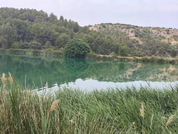 Güneşli bir günde İspanya 'nın güneyindeki doğada göl