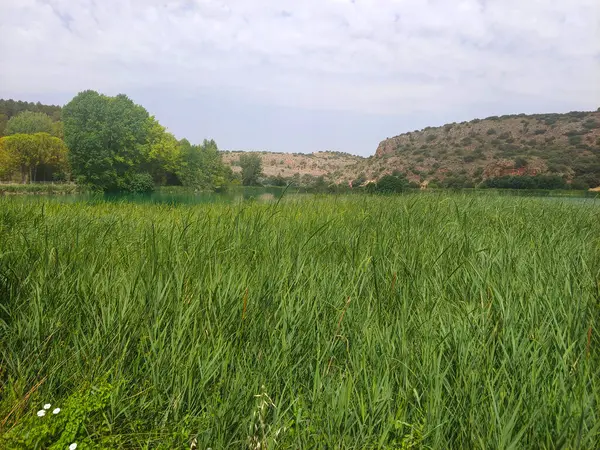 Güneşli bir günde doğada tarım
