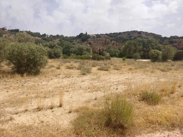 Güneşli bir günde doğada tarım