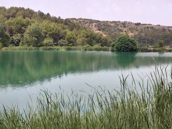 Güneşli bir günde İspanya 'nın güneyindeki doğada göl