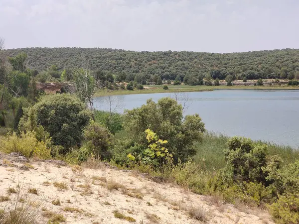 Güneşli bir günde İspanya 'nın güneyindeki doğada göl