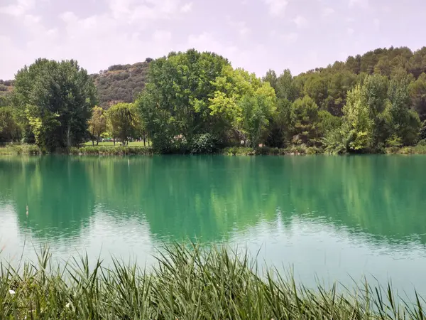 Güneşli bir günde İspanya 'nın güneyindeki doğada göl