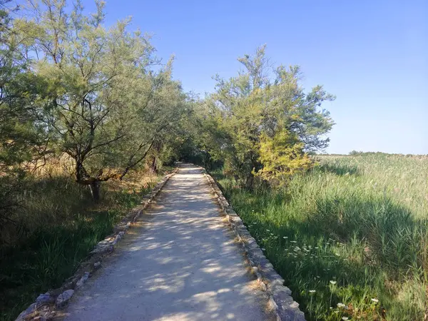 Güneşli bir günde doğada tarım