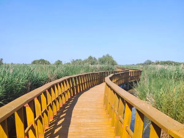 Güneşli bir günde doğada tarım