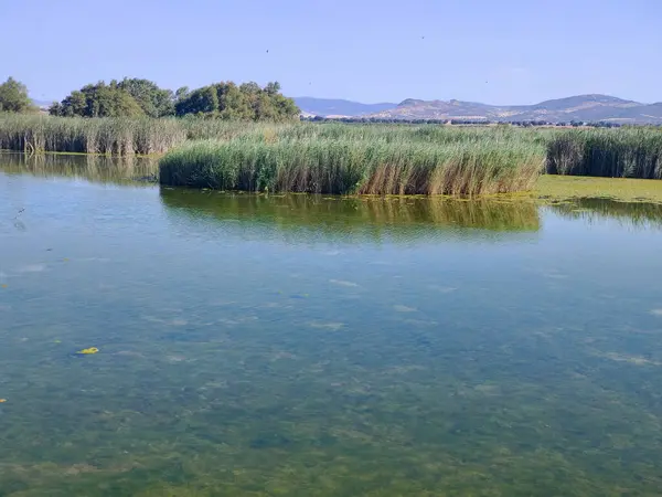 Güneşli bir günde İspanya 'nın güneyindeki doğada göl
