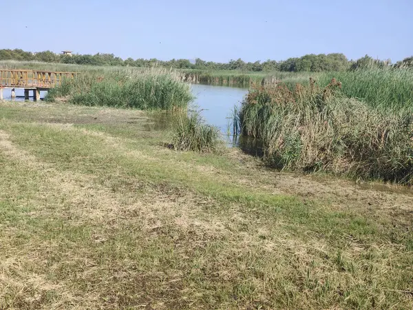 Güneşli bir günde İspanya 'nın güneyindeki doğada göl