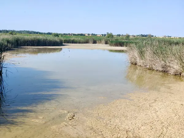 Güneşli bir günde İspanya 'nın güneyindeki doğada göl