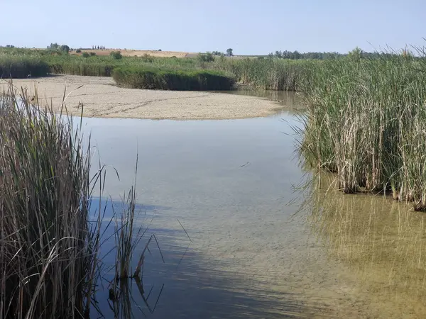 Güneşli bir günde İspanya 'nın güneyindeki doğada göl
