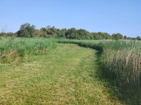 Güneşli bir günde doğada tarım