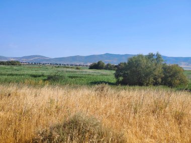 İspanya 'nın merkezinde güneşli bir günde