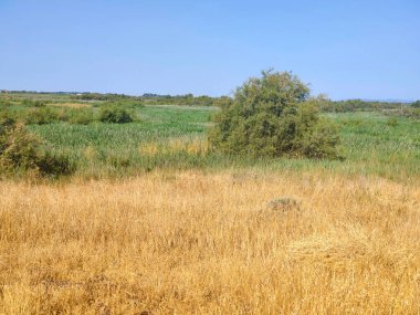 İspanya 'nın merkezinde güneşli bir günde
