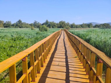İspanya 'nın merkezinde güneşli bir günde