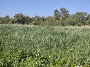 İspanya 'nın merkezinde güneşli bir günde