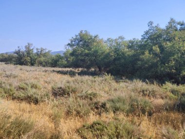 İspanya 'nın merkezinde güneşli bir günde