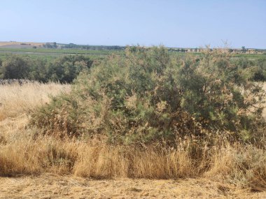 İspanya 'nın merkezinde güneşli bir günde