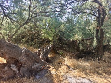 İspanya 'nın merkezinde güneşli bir günde