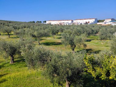 İspanya 'nın merkezinde güneşli bir günde