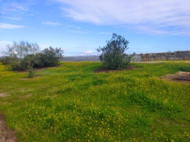İspanya 'nın merkezinde güneşli bir günde