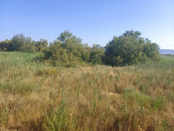 İspanya 'nın merkezinde güneşli bir günde