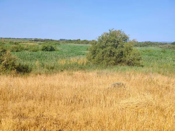 İspanya 'nın merkezinde güneşli bir günde