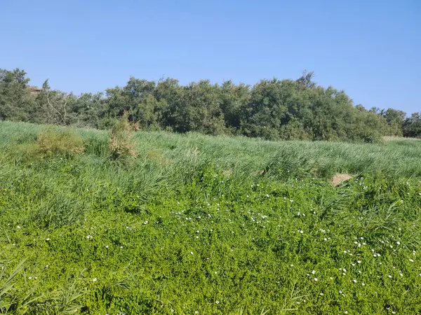 İspanya 'nın merkezinde güneşli bir günde