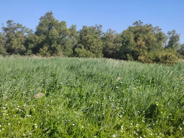 İspanya 'nın merkezinde güneşli bir günde