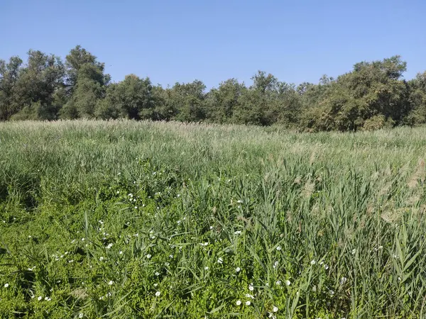 İspanya 'nın merkezinde güneşli bir günde