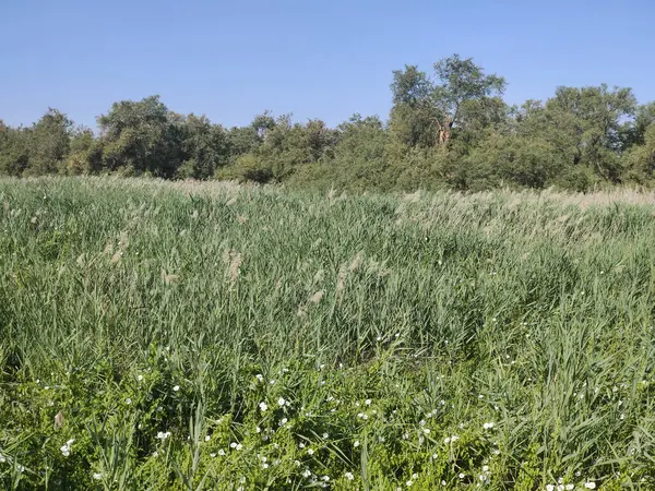 İspanya 'nın merkezinde güneşli bir günde