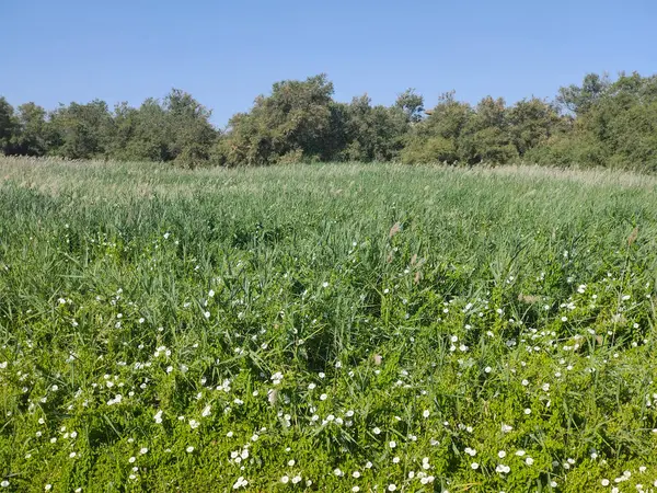 İspanya 'nın merkezinde güneşli bir günde