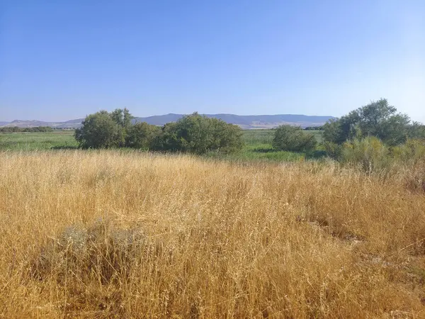 İspanya 'nın merkezinde güneşli bir günde