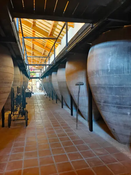 İspanya 'nın merkezinde Valdepenas' daki şarap fabrikası