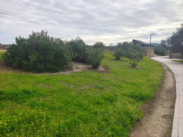 İspanya 'nın merkezinde güneşli bir günde
