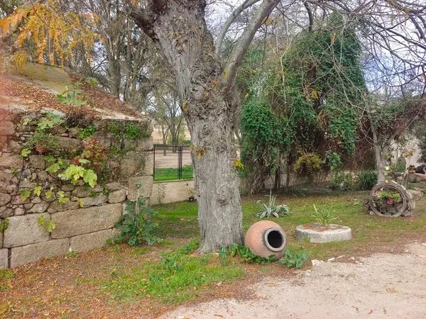 Güneşli bir günde Merida 'da ortaçağ köprüsü