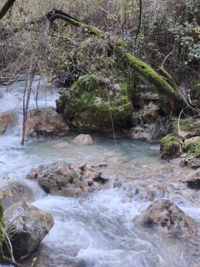 Güneşli bir günde İspanya 'nın güneyine dökülen nehir