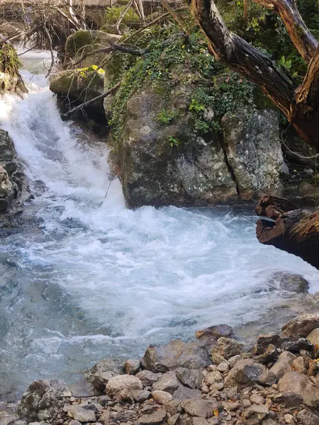 Güneşli bir günde İspanya 'nın güneyine dökülen nehir