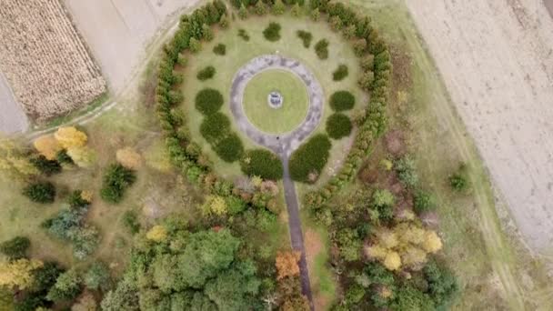 Drone Images Arbres Automne Survolez Parc Les Arbres Jaunes Verts — Video