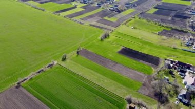 Köyün yakınındaki tarlaların ve sebze bahçelerinin insansız hava aracı görüntüleri. Baharda yeşil tarlalar ve sebze bahçeleri ekime hazır..