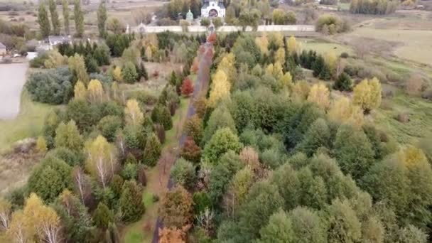 Drone Footage Trees Autumn Church Park Fly Park Yellow Green — Video