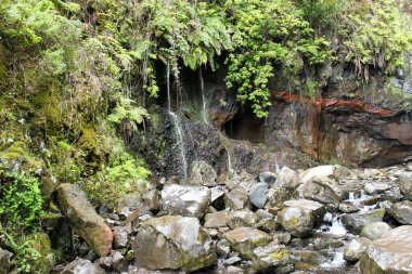 The beauty of the wild nature of the interesting island of Madeira.
